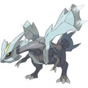 Meet your Posher, Jake